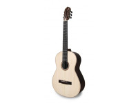 APC CGS 312 APC CGS 312